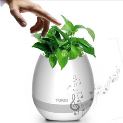 Tokqi White LED Flowerpot