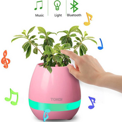 Tokqi Pink LED Flowerpot