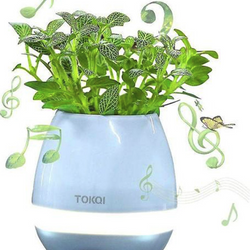 Tokqi Blue LED Flowerpot